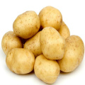 Novo produto, batata fresca, preço de venda de batata quente no mercado